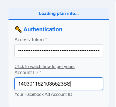 Input your access token and account ID. Image by Author.